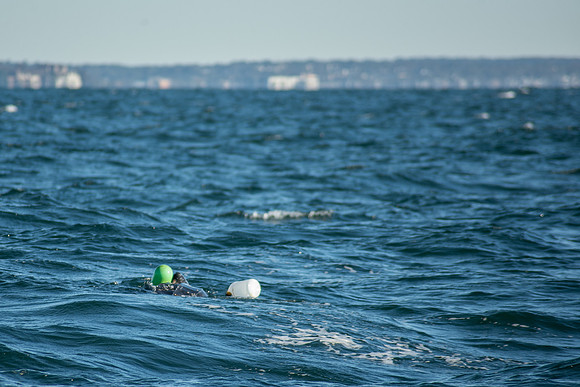 Leatherback-6