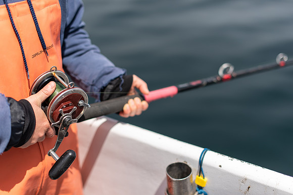 Groundfishing