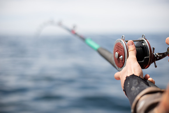 Groundfishing