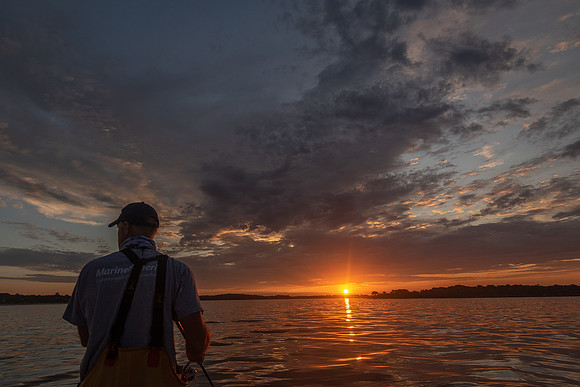 Sunrise Bite
