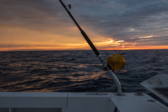 Sunrise Tuna Fishing