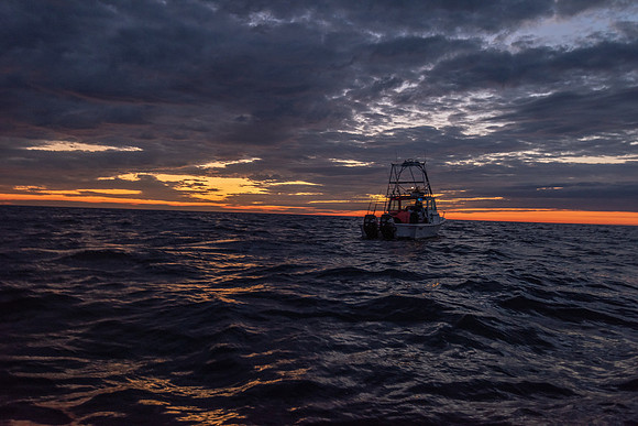 Tuna Sunrise