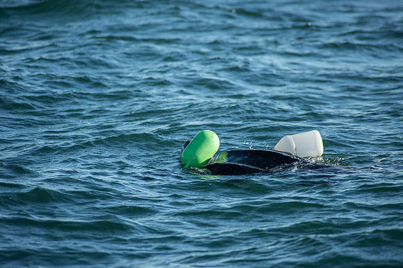 Leatherback-2